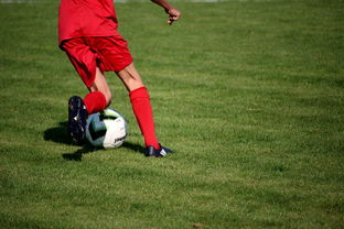 开云入口-俱乐部青训体系与职业联赛脱节，俱乐部青训有工资吗