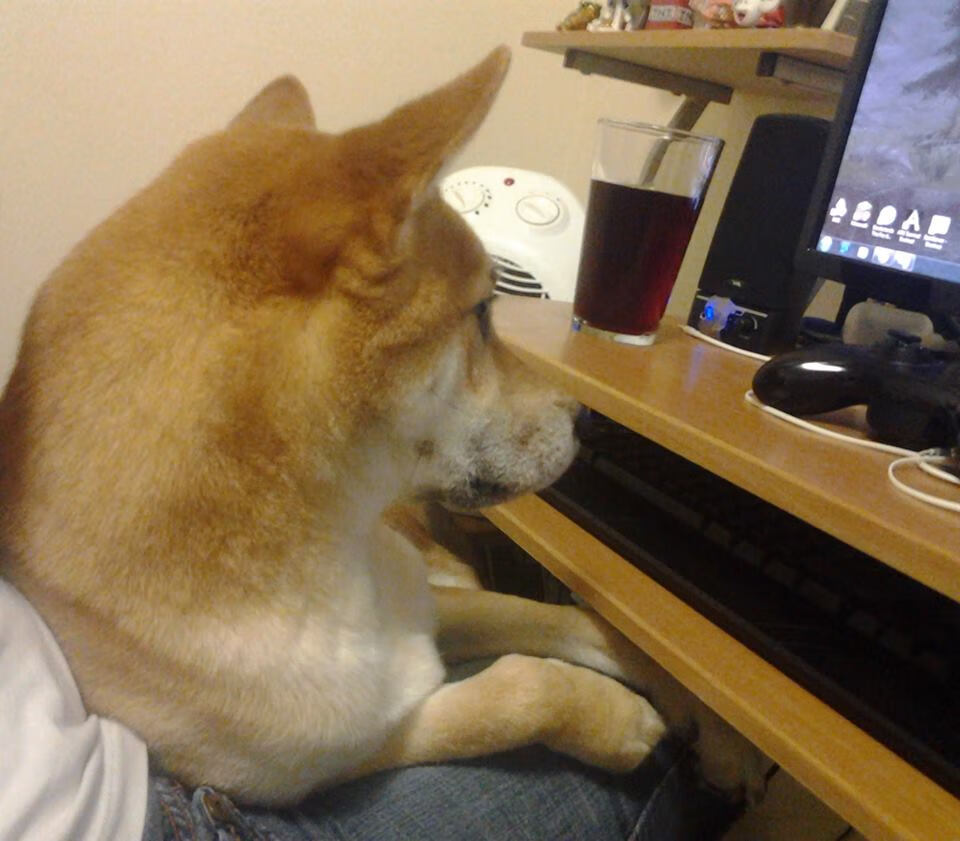 博塔弗戈球员心理压力显现，失误增多，博塔弗戈vs累体育