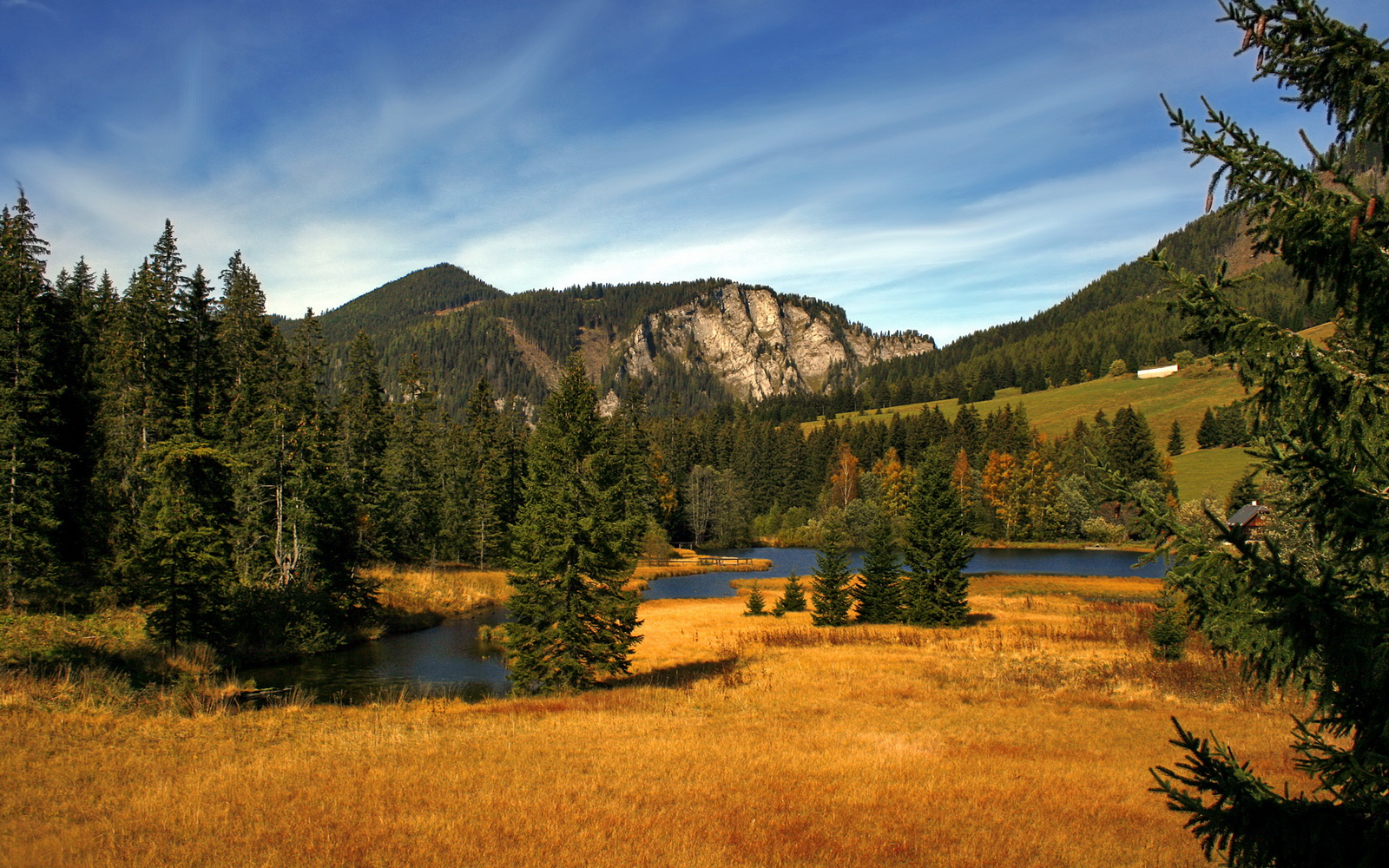 男子蛙泳划频控制更精准，蛙泳划频多少