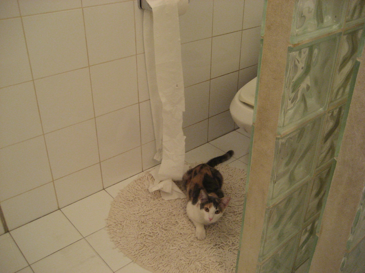 中国足球职业俱乐部优化队医资源配置，足球队医疗团队