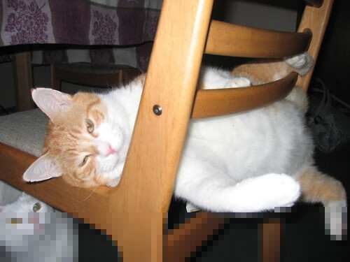 中国足球职业俱乐部优化队医资源配置，足球队医疗团队