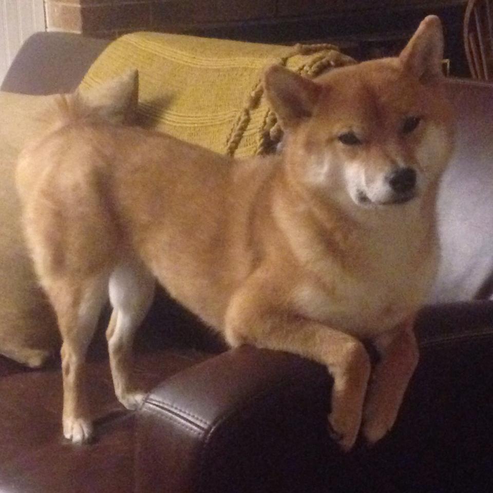 开云网站-凯尔·查默斯男子100米自由泳决赛技术解析，100米自由泳历史最好成绩排名