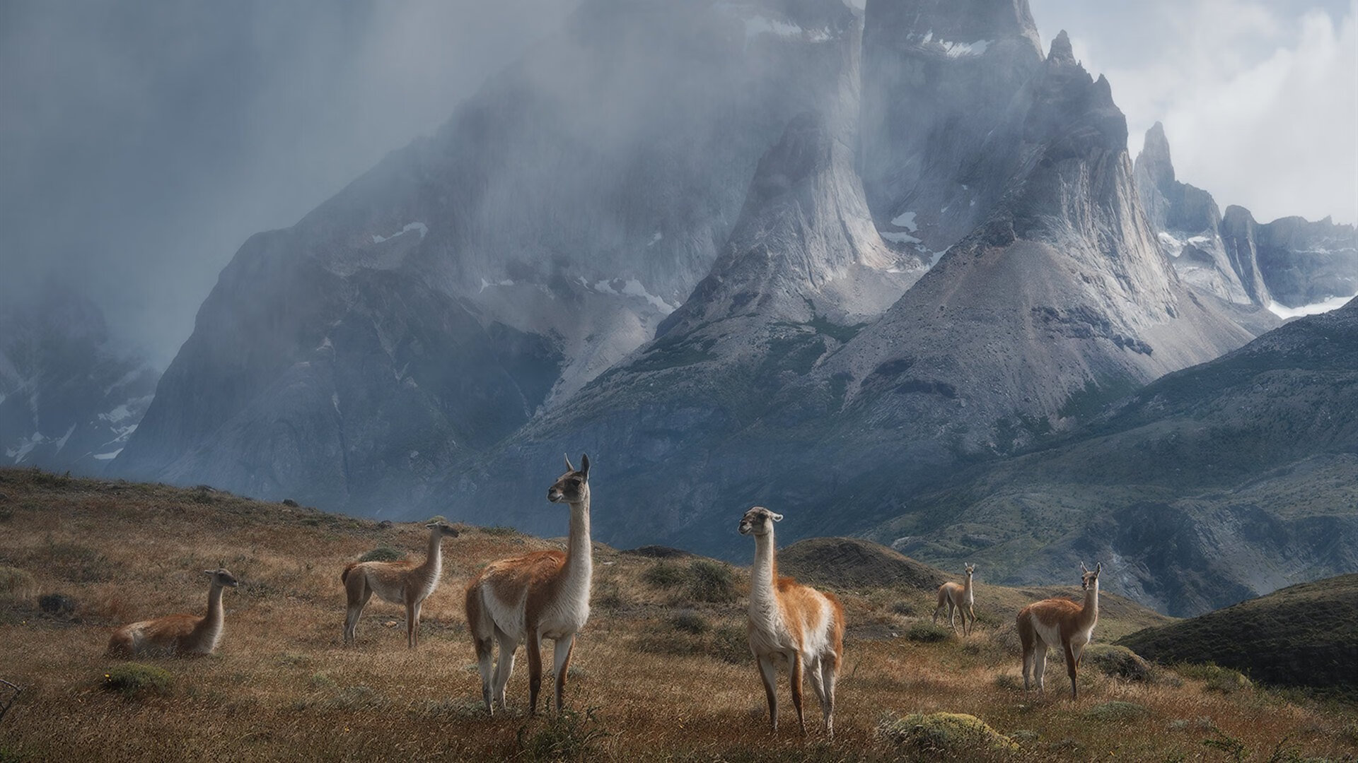 公牛前锋在高强度对抗中连续完成抢断，公牛前锋在高强度对抗中连续完成抢断