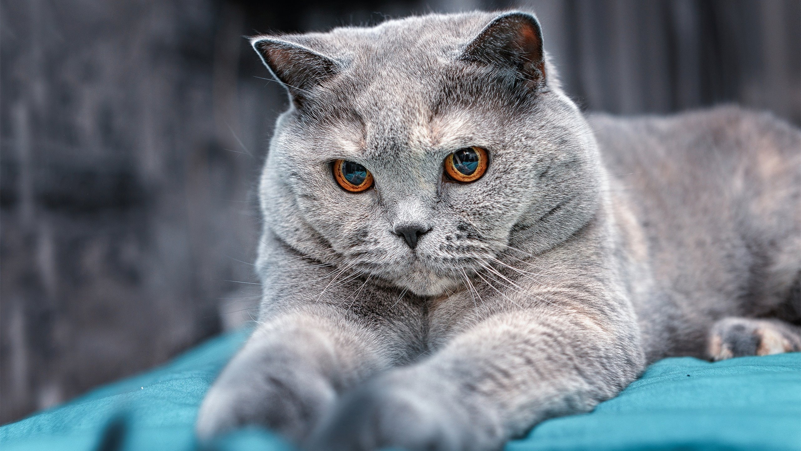 勇士训练营加入文化学习课程培养素养,勇士训练营读后感